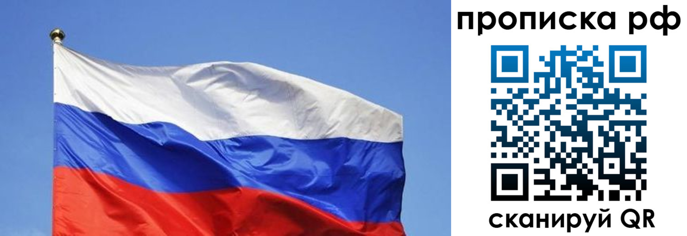 прописка штамп в Ржеве